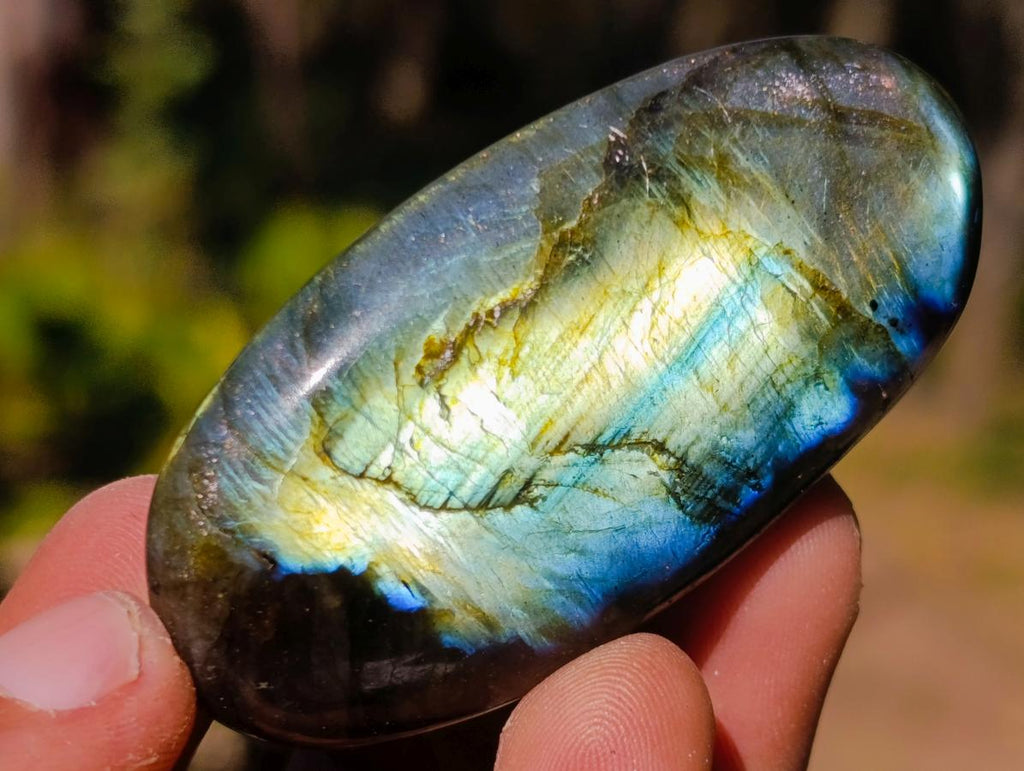 Polished Labradorite Palm Stones x 20 From Madagascar - Toprock Gemstones and Minerals 