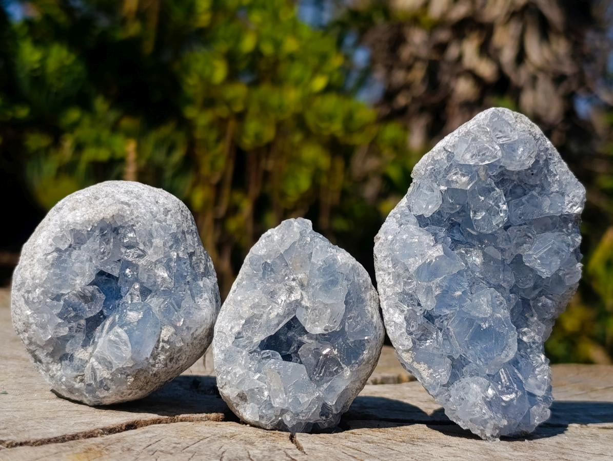 Natural Blue Celestite Specimens x 12 From Sakoany, Madagascar - Toprock Gemstones and Minerals 