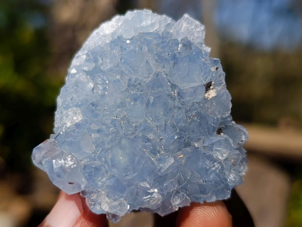 Natural Blue Celestite Specimens x 12 From Sakoany, Madagascar - Toprock Gemstones and Minerals 