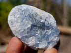 Natural Blue Celestite Specimens x 12 From Sakoany, Madagascar - Toprock Gemstones and Minerals 