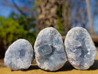Natural Blue Celestite Specimens x 12 From Sakoany, Madagascar - Toprock Gemstones and Minerals 