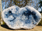 Natural XL Blue Celestite Geode Specimen x 1 From Sakoany, Madagascar - Toprock Gemstones and Minerals 