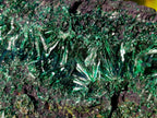 Natural Silky Malachite Specimens x 2 From Kasompe, Congo - Toprock Gemstones and Minerals 