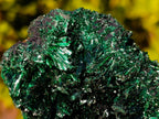 Natural Silky Malachite Specimens x 2 From Kasompe, Congo - Toprock Gemstones and Minerals 