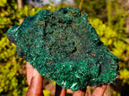 Natural Silky Malachite Specimens x 2 From Kasompe, Congo - Toprock Gemstones and Minerals 