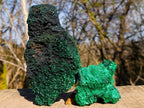 Natural Silky Malachite Specimens x 2 From Kasompe, Congo - Toprock Gemstones and Minerals 