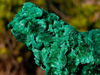 Natural Silky Malachite Specimens x 2 From Kasompe, Congo - Toprock Gemstones and Minerals 