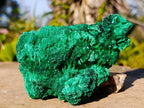 Natural Silky Malachite Specimens x 2 From Kasompe, Congo - Toprock Gemstones and Minerals 