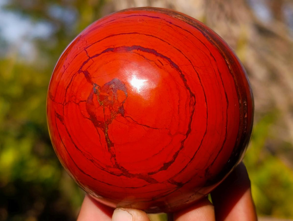 Polished Banded Red Jasper Spheres with Siliver Hematite x 2 From Zimbabwe - Toprock Gemstones and Minerals 