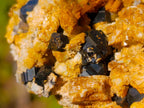 Natural Schorl Black Tourmaline Specimens with Associated Minerals x 6 From Erongo, Namibia - Toprock Gemstones and Minerals 