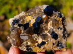 Natural Schorl Black Tourmaline Specimens with Associated Minerals x 6 From Erongo, Namibia - Toprock Gemstones and Minerals 