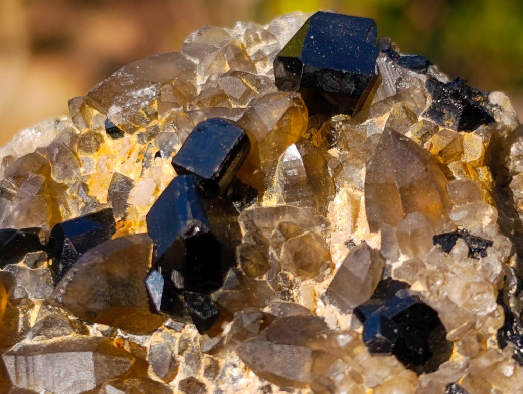 Natural Schorl Black Tourmaline Specimens with Associated Minerals x 6 From Erongo, Namibia - Toprock Gemstones and Minerals 