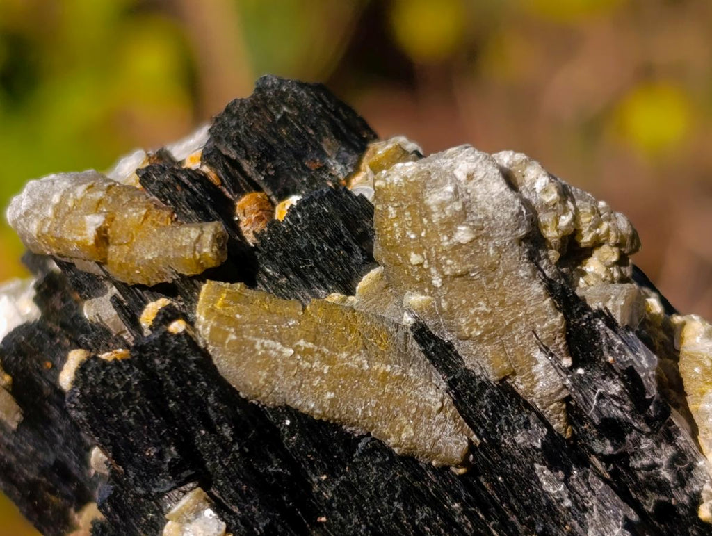 Natural Schorl Black Tourmaline Specimens with Associated Minerals x 6 From Erongo, Namibia - Toprock Gemstones and Minerals 