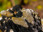 Natural Schorl Black Tourmaline Specimens with Associated Minerals x 6 From Erongo, Namibia - Toprock Gemstones and Minerals 