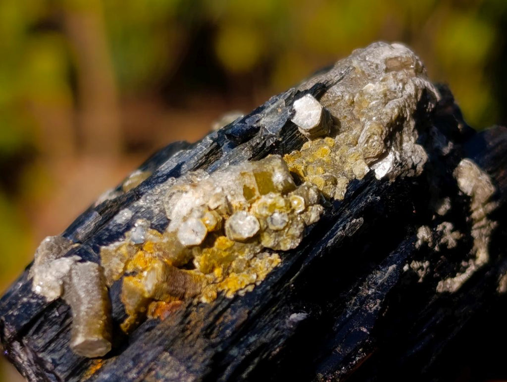 Natural Schorl Black Tourmaline Specimens with Associated Minerals x 6 From Erongo, Namibia - Toprock Gemstones and Minerals 