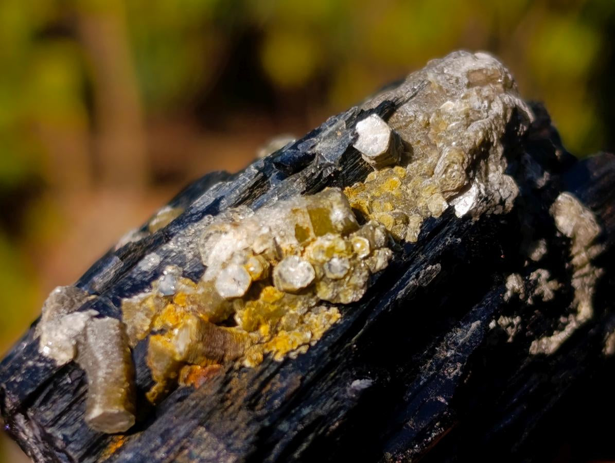 Natural Schorl Black Tourmaline Specimens with Associated Minerals x 6 From Erongo, Namibia - Toprock Gemstones and Minerals 