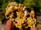 Natural Schorl Black Tourmaline Specimens with Associated Minerals x 6 From Erongo, Namibia - Toprock Gemstones and Minerals 