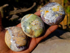 Polished Large Fluorescent Dendritic Opal Palm Stones x 12 From Moralambo, Madagascar - Toprock Gemstones and Minerals 