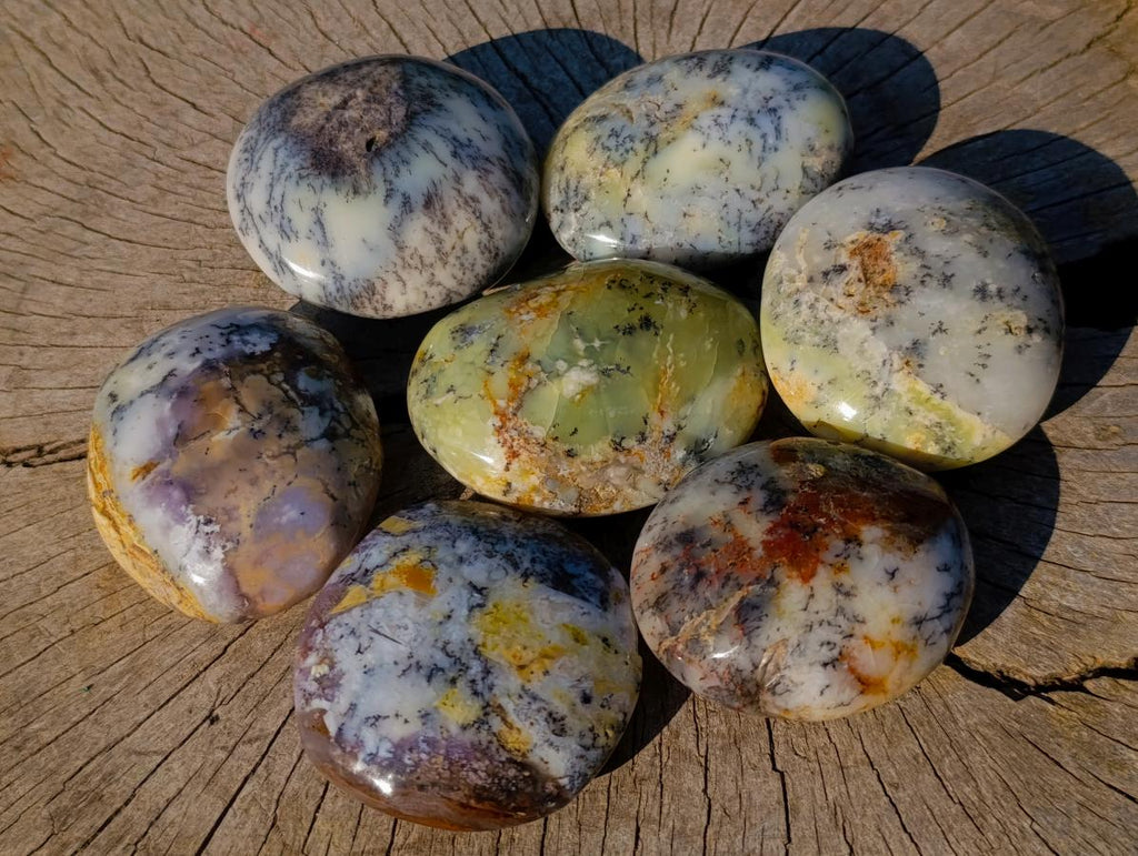 Polished Large Fluorescent Dendritic Opal Palm Stones x 12 From Moralambo, Madagascar - Toprock Gemstones and Minerals 