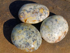 Polished Large Fluorescent Dendritic Opal Palm Stones x 12 From Moralambo, Madagascar - Toprock Gemstones and Minerals 