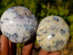 Polished Large Fluorescent Dendritic Opal Palm Stones x 12 From Moralambo, Madagascar - Toprock Gemstones and Minerals 