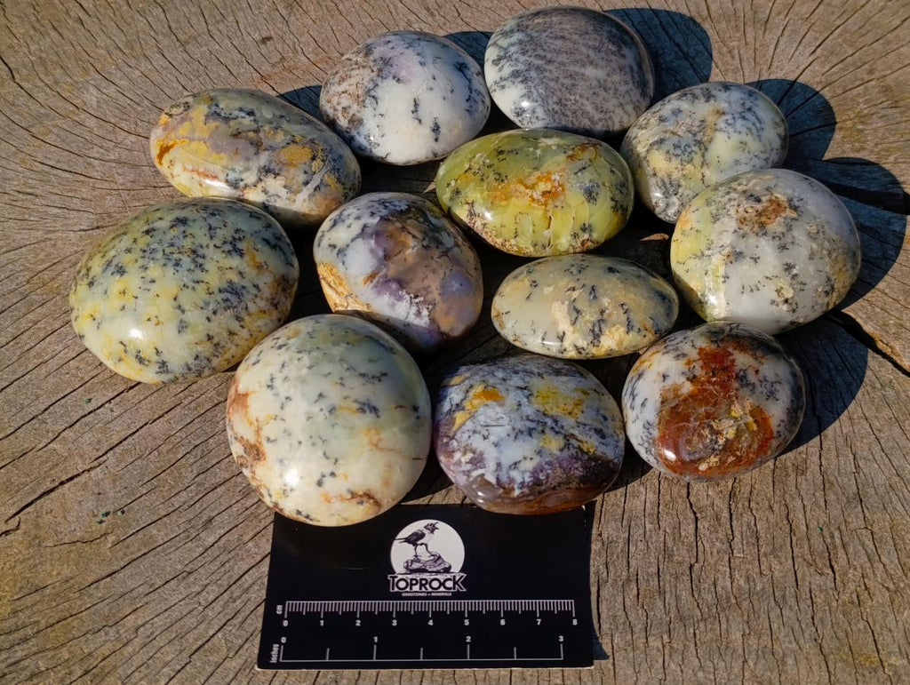 Polished Large Fluorescent Dendritic Opal Palm Stones x 12 From Moralambo, Madagascar - Toprock Gemstones and Minerals 