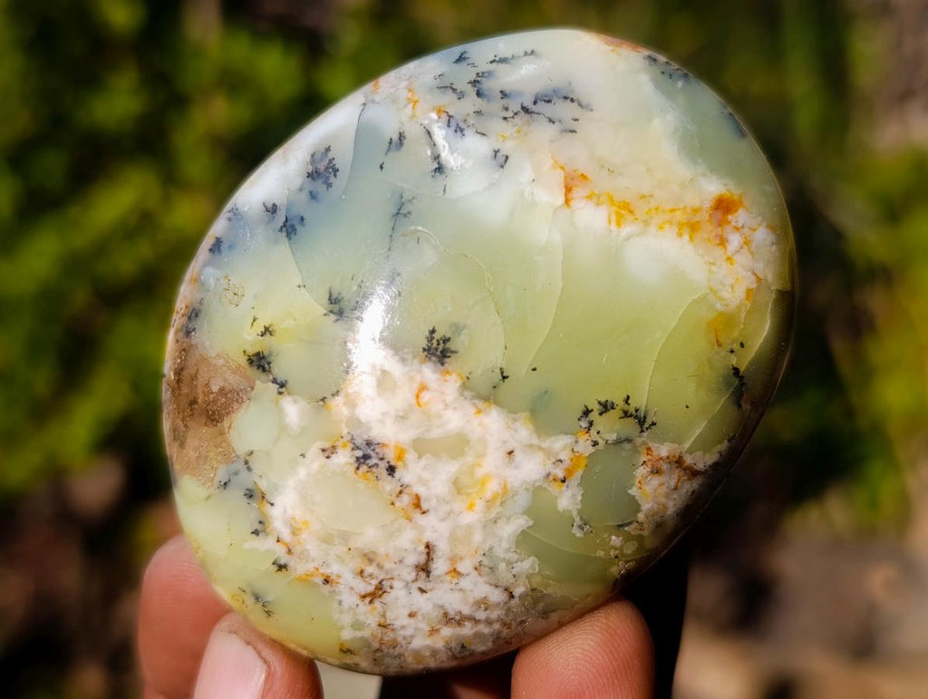 Polished Large Fluorescent Dendritic Opal Palm Stones x 12 From Moralambo, Madagascar - Toprock Gemstones and Minerals 