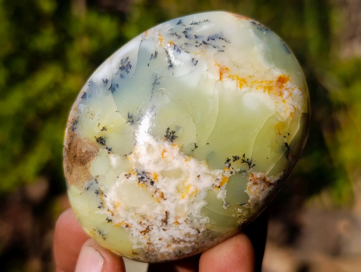 Polished Large Fluorescent Dendritic Opal Palm Stones x 12 From Moralambo, Madagascar - Toprock Gemstones and Minerals 