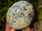 Polished Large Fluorescent Dendritic Opal Palm Stones x 12 From Moralambo, Madagascar - Toprock Gemstones and Minerals 
