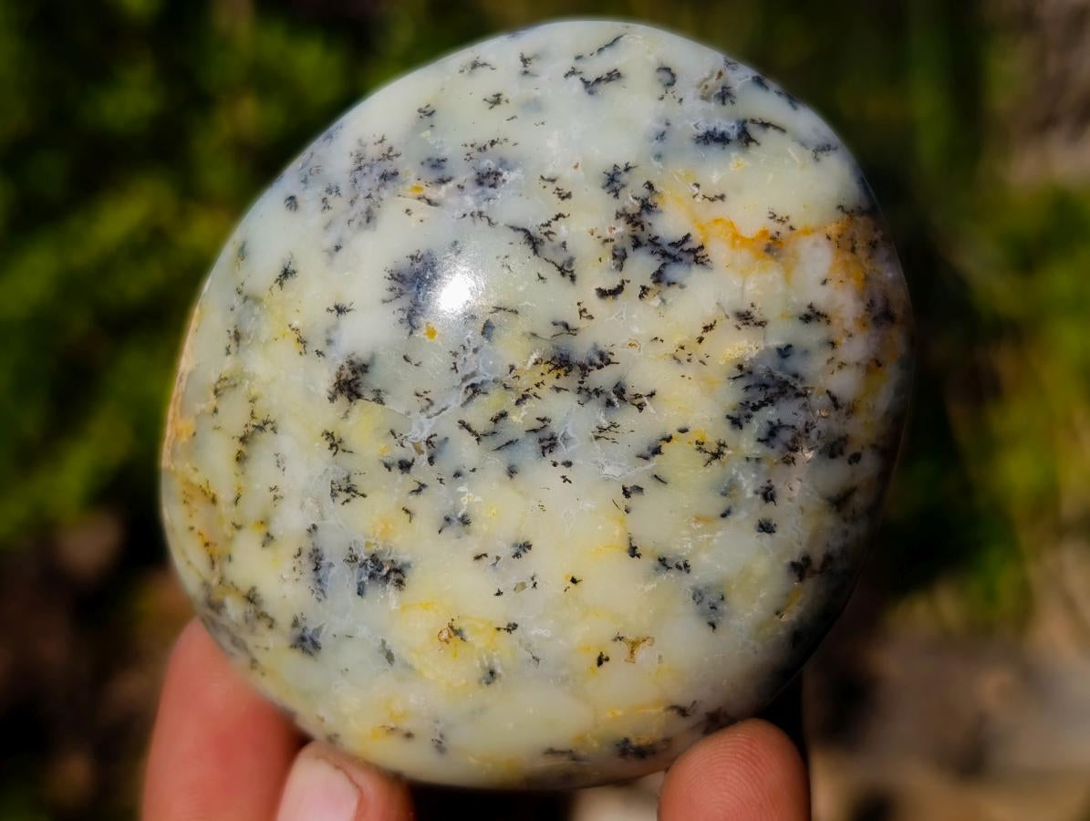 Polished Large Fluorescent Dendritic Opal Palm Stones x 12 From Moralambo, Madagascar - Toprock Gemstones and Minerals 