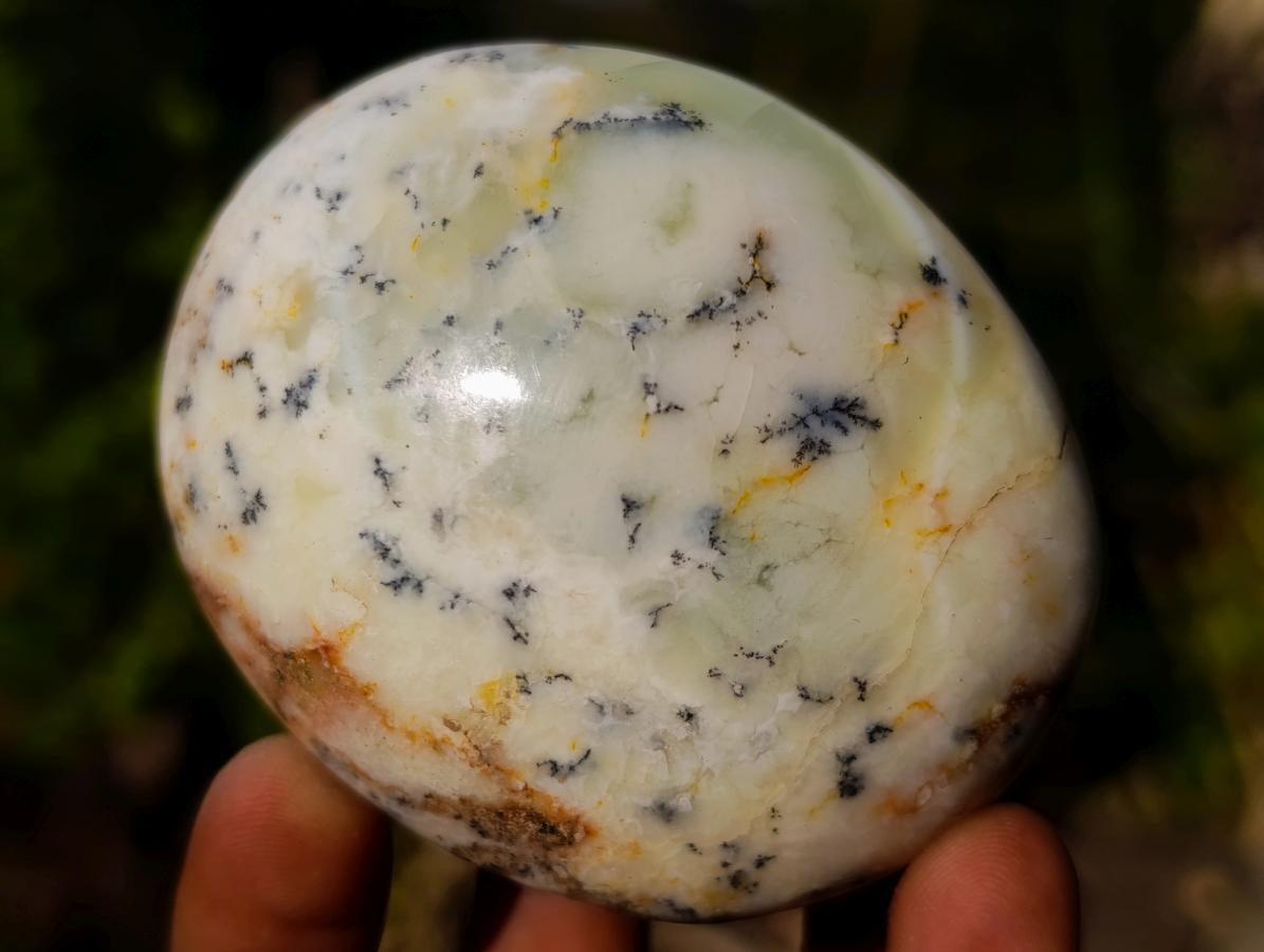 Polished Large Fluorescent Dendritic Opal Palm Stones x 12 From Moralambo, Madagascar - Toprock Gemstones and Minerals 