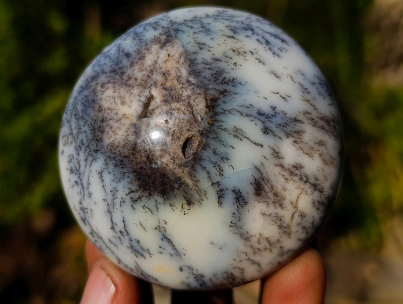 Polished Large Fluorescent Dendritic Opal Palm Stones x 12 From Moralambo, Madagascar - Toprock Gemstones and Minerals 