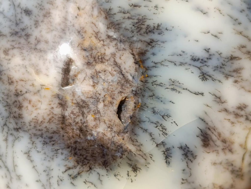 Polished Large Fluorescent Dendritic Opal Palm Stones x 12 From Moralambo, Madagascar - Toprock Gemstones and Minerals 