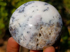 Polished Large Fluorescent Dendritic Opal Palm Stones x 12 From Moralambo, Madagascar - Toprock Gemstones and Minerals 