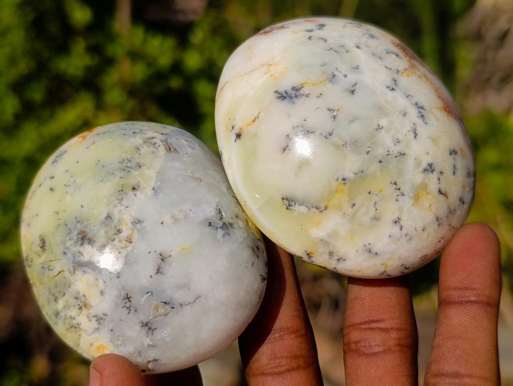 Polished Large Fluorescent Dendritic Opal Palm Stones x 12 From Moralambo, Madagascar - Toprock Gemstones and Minerals 