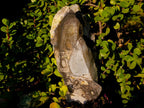 Natural Large Smokey Quartz Twin Crystal with Black Tourmaline x 1 From Erongo, Namibia - Toprock Gemstones and Minerals 