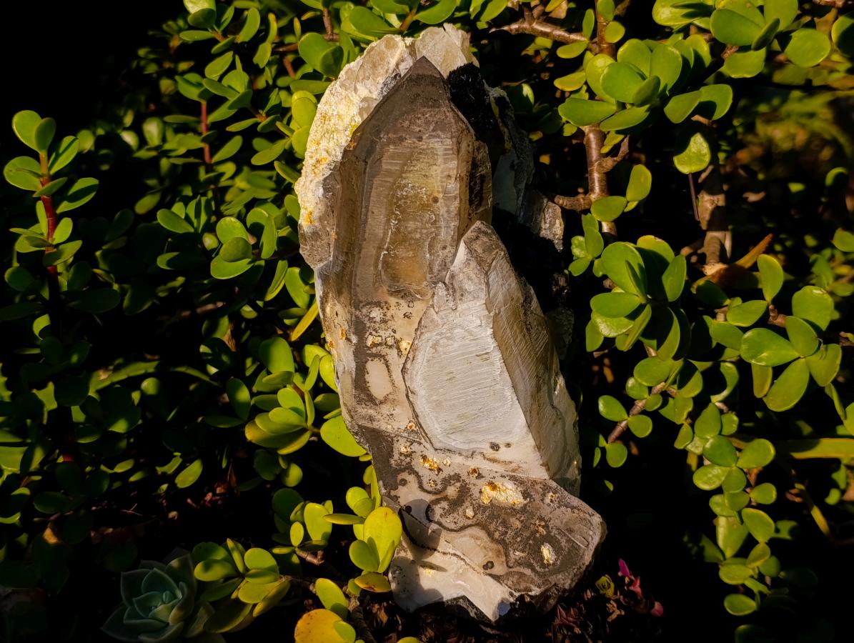 Natural Large Smokey Quartz Twin Crystal with Black Tourmaline x 1 From Erongo, Namibia - Toprock Gemstones and Minerals 