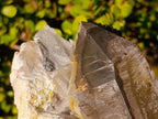 Natural Large Smokey Quartz Twin Crystal with Black Tourmaline x 1 From Erongo, Namibia - Toprock Gemstones and Minerals 