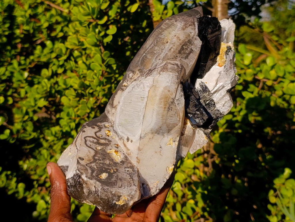 Natural Large Smokey Quartz Twin Crystal with Black Tourmaline x 1 From Erongo, Namibia - Toprock Gemstones and Minerals 