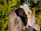 Natural Large Smokey Quartz Twin Crystal with Black Tourmaline x 1 From Erongo, Namibia - Toprock Gemstones and Minerals 
