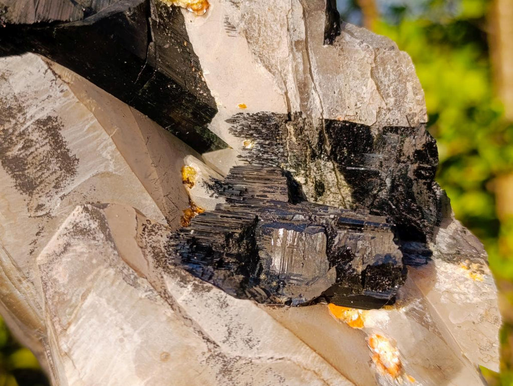 Natural Large Smokey Quartz Twin Crystal with Black Tourmaline x 1 From Erongo, Namibia - Toprock Gemstones and Minerals 