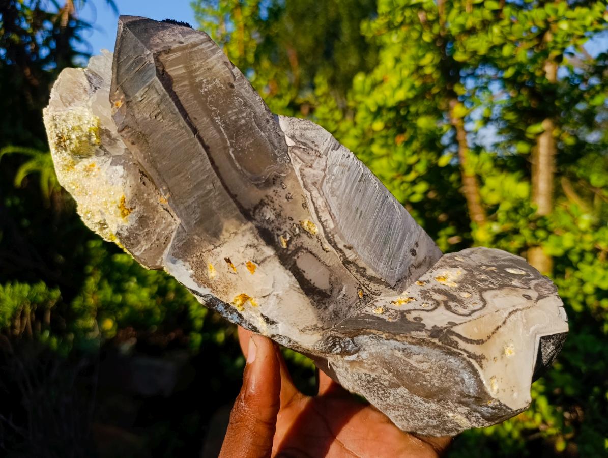 Natural Large Smokey Quartz Twin Crystal with Black Tourmaline x 1 From Erongo, Namibia - Toprock Gemstones and Minerals 