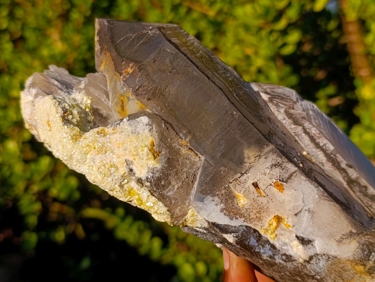 Natural Large Smokey Quartz Twin Crystal with Black Tourmaline x 1 From Erongo, Namibia - Toprock Gemstones and Minerals 