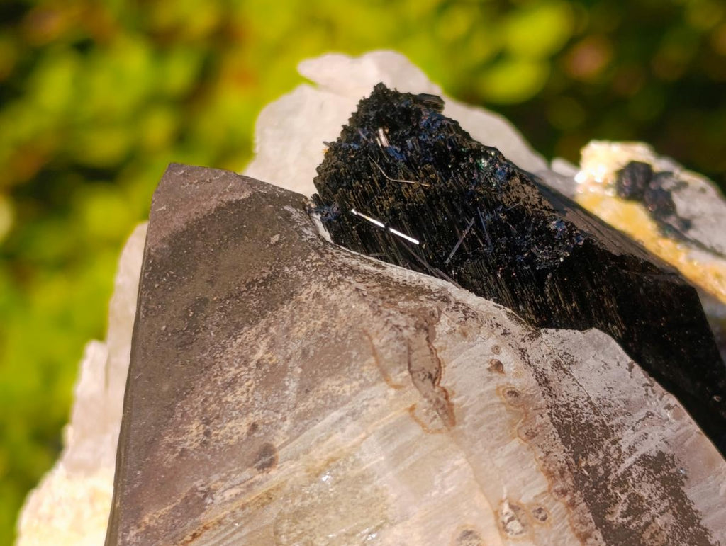 Natural Large Smokey Quartz Twin Crystal with Black Tourmaline x 1 From Erongo, Namibia - Toprock Gemstones and Minerals 