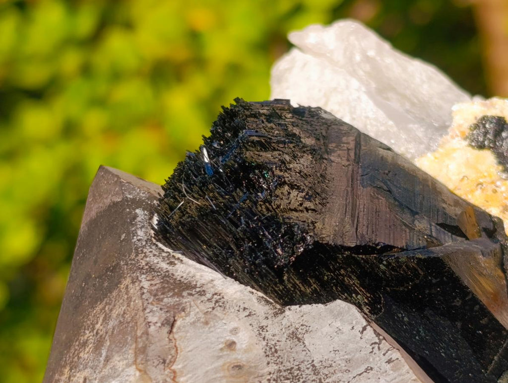 Natural Large Smokey Quartz Twin Crystal with Black Tourmaline x 1 From Erongo, Namibia - Toprock Gemstones and Minerals 