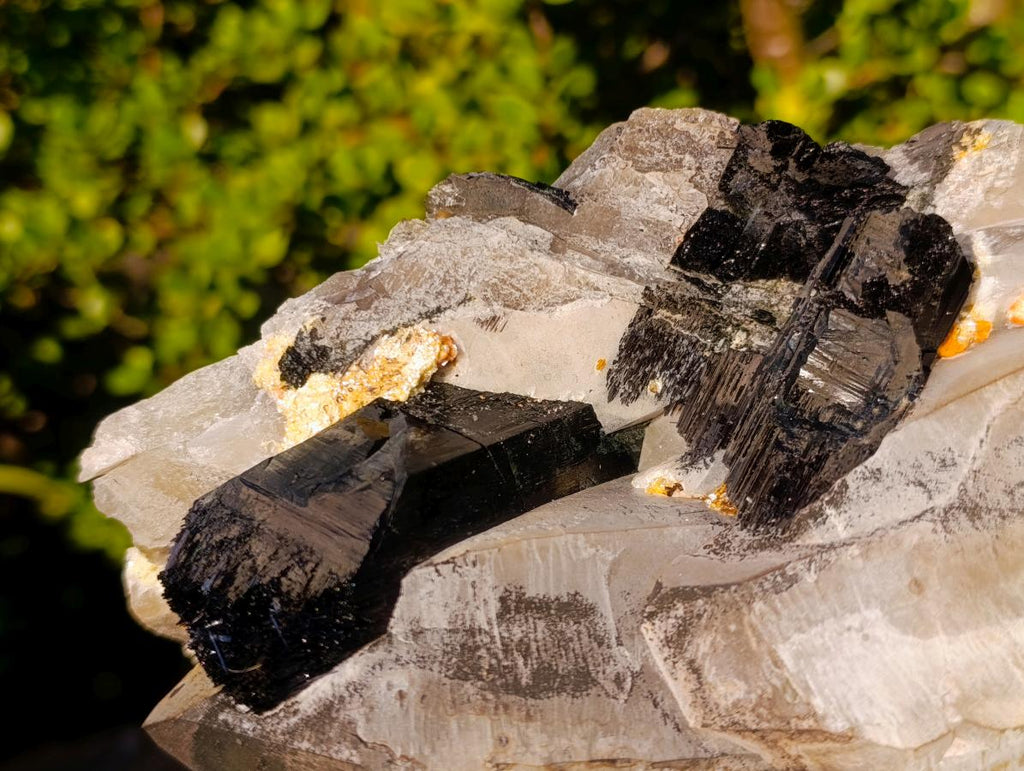 Natural Large Smokey Quartz Twin Crystal with Black Tourmaline x 1 From Erongo, Namibia - Toprock Gemstones and Minerals 