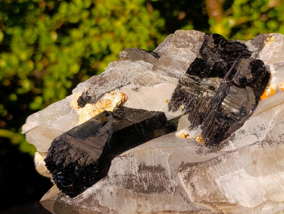 Natural Large Smokey Quartz Twin Crystal with Black Tourmaline x 1 From Erongo, Namibia - Toprock Gemstones and Minerals 
