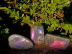 Polished Sunset Flash Labradorite Standing Display Pieces x 3 From Madagascar