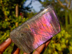 Polished Sunset Flash Labradorite Standing Display Pieces x 3 From Madagascar
