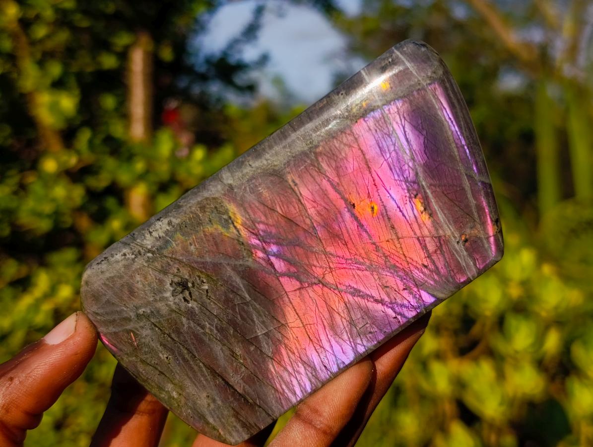 Polished Sunset Flash Labradorite Standing Display Pieces x 3 From Madagascar
